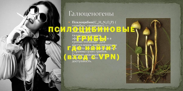 молекула духа Баксан
