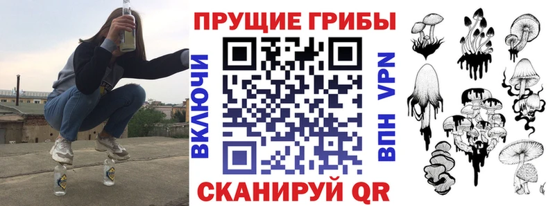Псилоцибиновые грибы Psilocybine cubensis  ОМГ ОМГ   Воткинск 